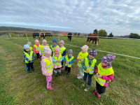 /album/fotogalerie/img-7700-jpg/